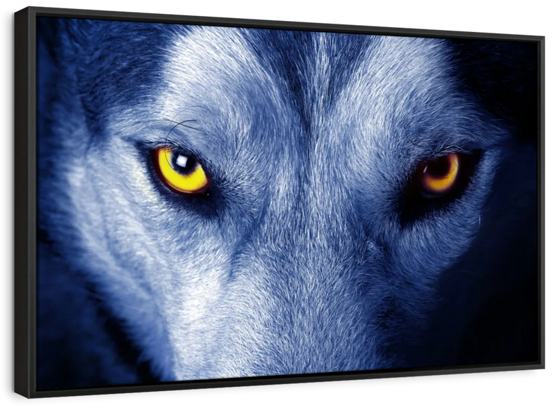 Mystic Wolf Eyes Wall Art