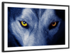 Mystic Wolf Eyes Wall Art