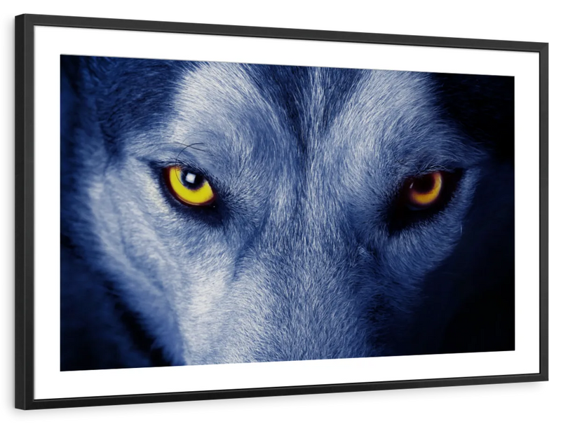 Mystic Wolf Eyes Wall Art