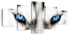 Husky's Eyes Wall Art