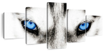Husky's Eyes Wall Art