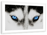 Husky's Eyes Wall Art