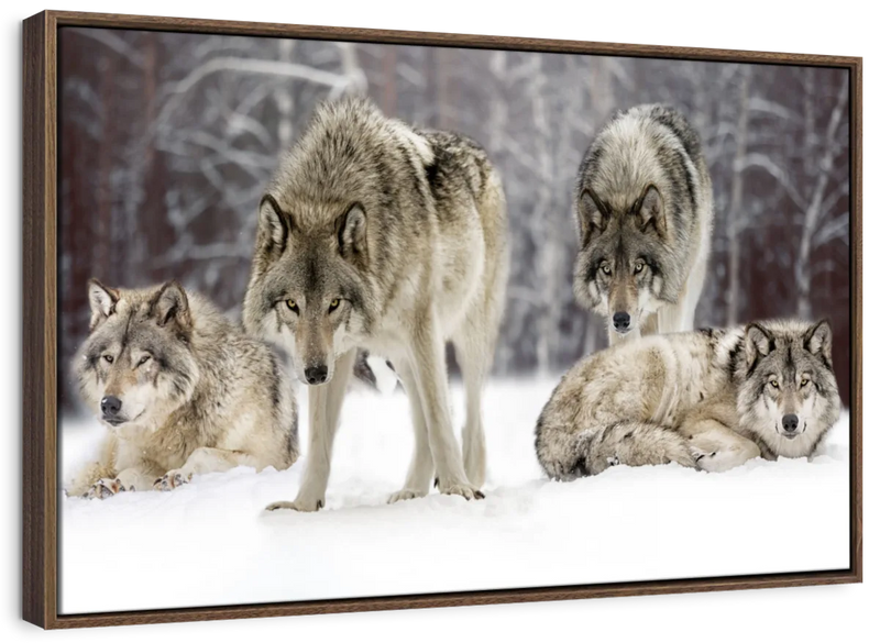 Wolf Pack Wall Art