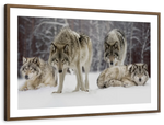 Wolf Pack Wall Art