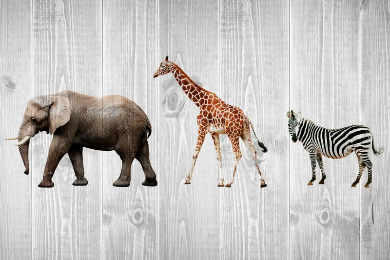Wooden Safari Wall Art
