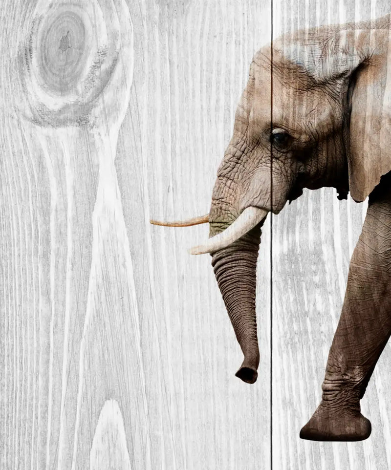 Wooden Safari Wall Art