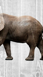 Wooden Safari Wall Art