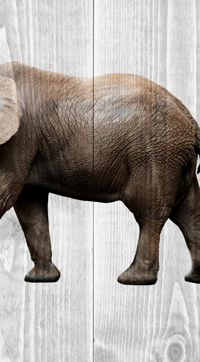 Wooden Safari Wall Art