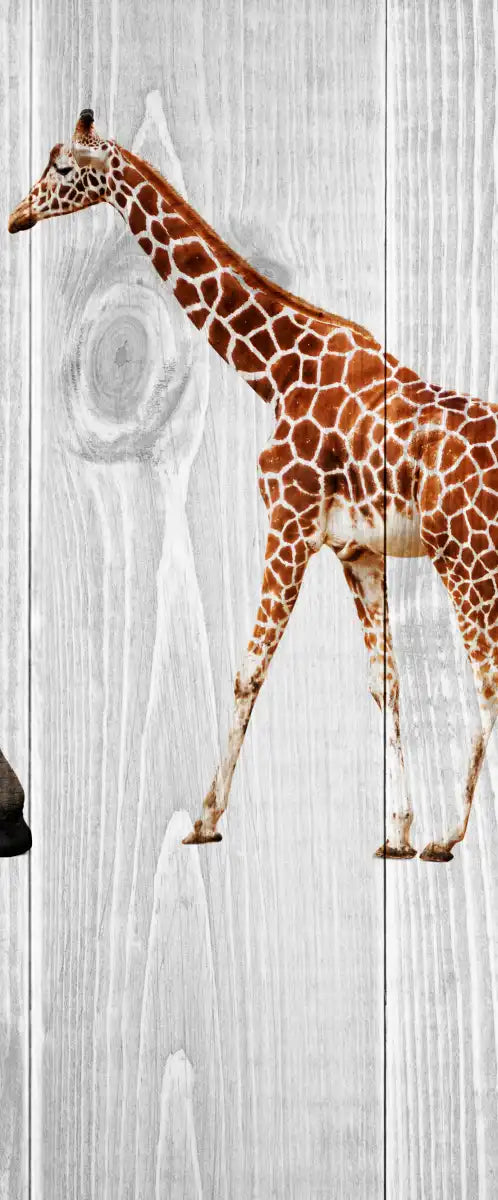 Wooden Safari Wall Art