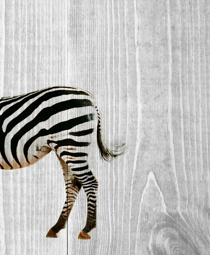 Wooden Safari Wall Art