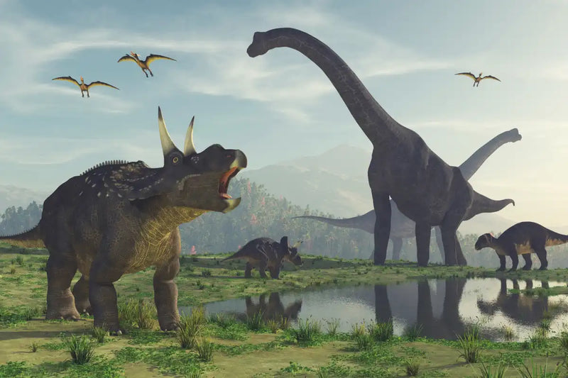 World Of Dinosaurs Wall Art