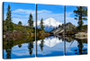 Mount Shasta Heart Lake Wall Art