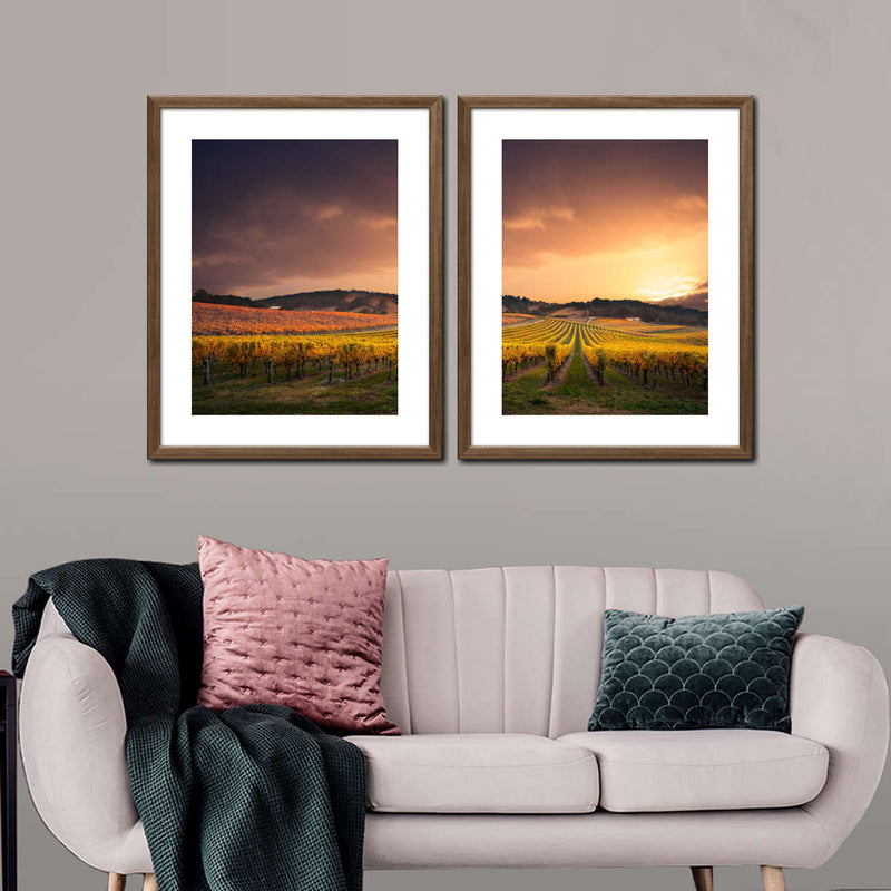 South Australia Vineyard Wall Art