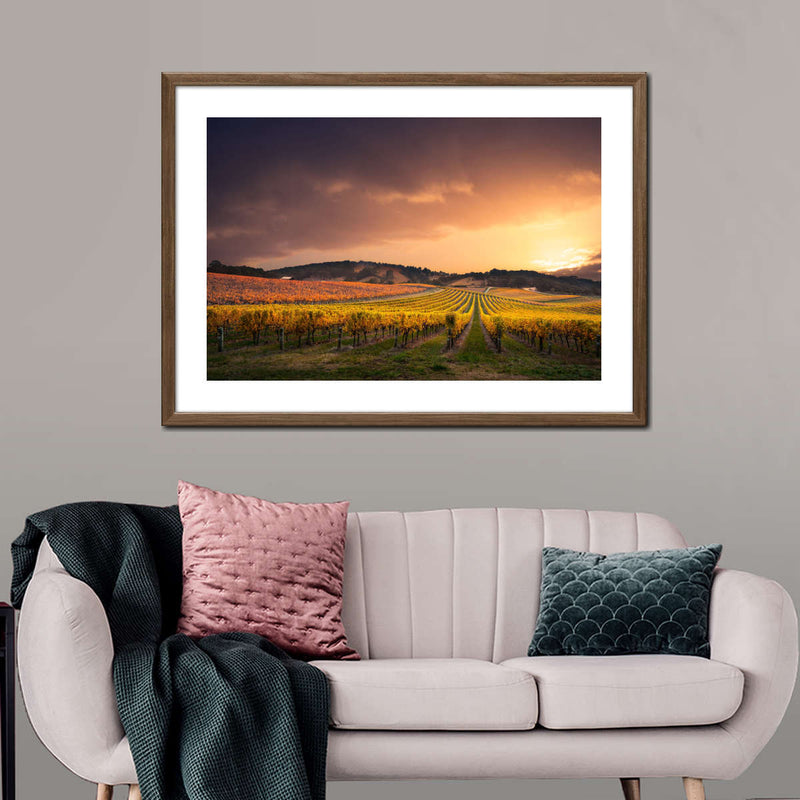 South Australia Vineyard Wall Art