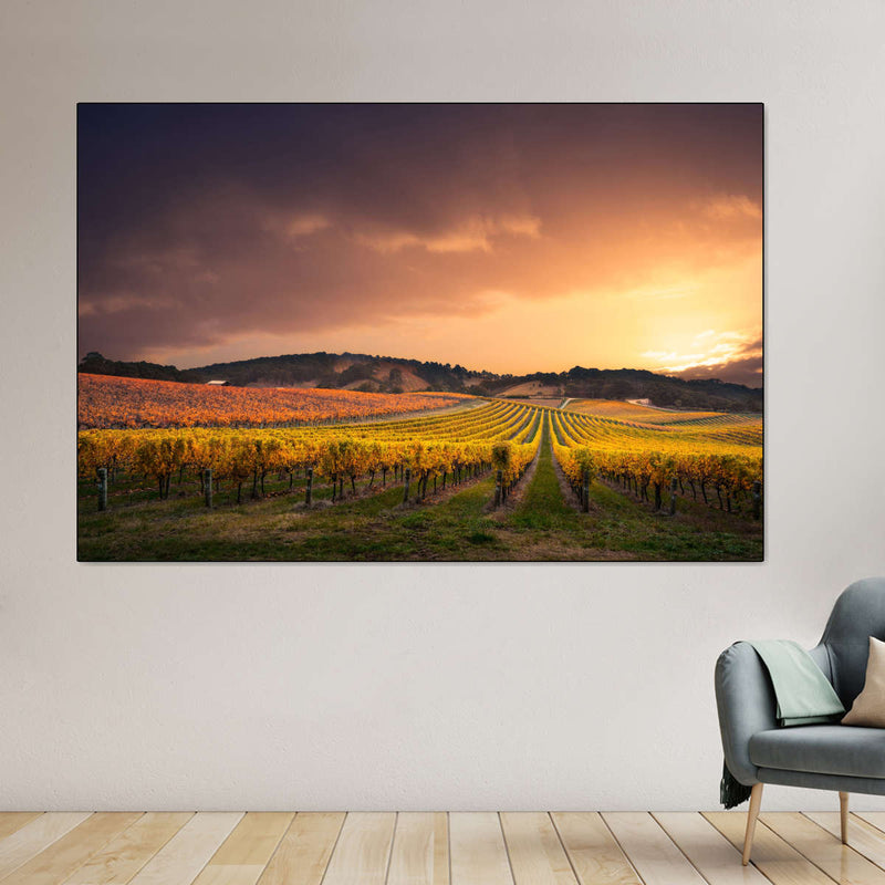 South Australia Vineyard Wall Art