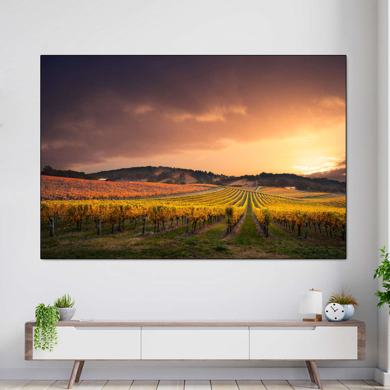 South Australia Vineyard Wall Art