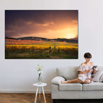South Australia Vineyard Wall Art