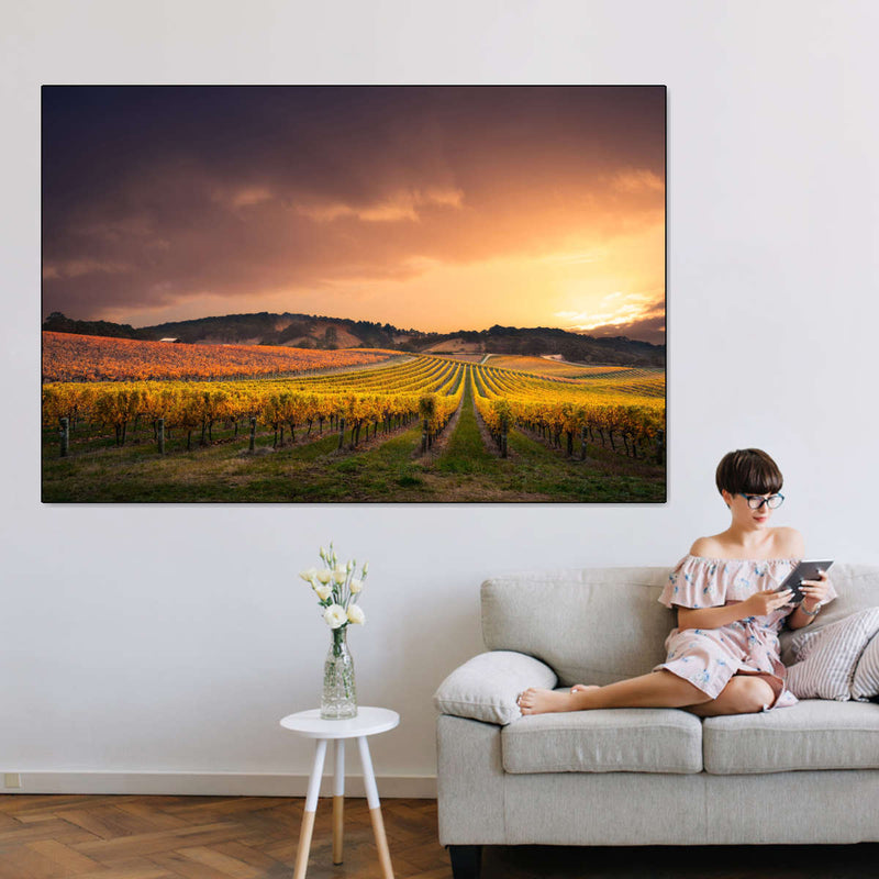 South Australia Vineyard Wall Art