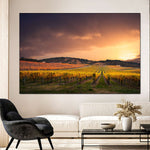 South Australia Vineyard Wall Art