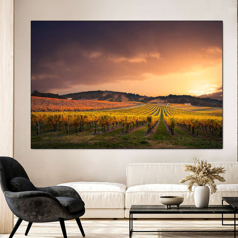 South Australia Vineyard Wall Art