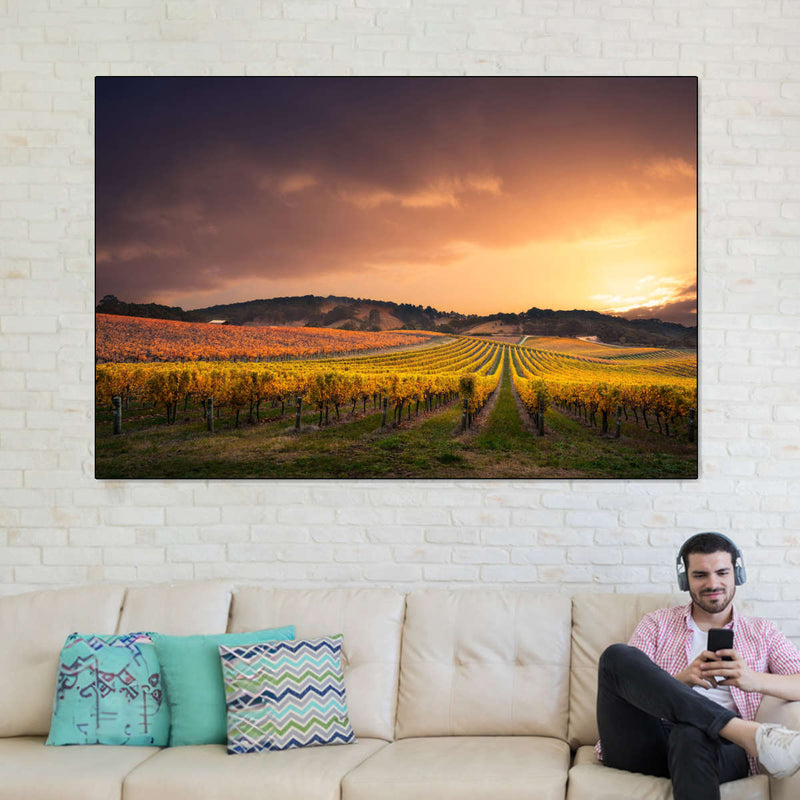South Australia Vineyard Wall Art