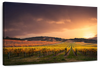 South Australia Vineyard Wall Art