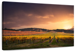 South Australia Vineyard Wall Art