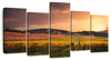 South Australia Vineyard Wall Art