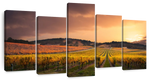 South Australia Vineyard Wall Art