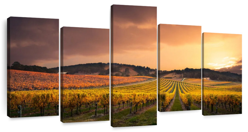 South Australia Vineyard Wall Art