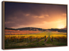 South Australia Vineyard Wall Art