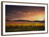 South Australia Vineyard Wall Art