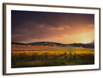 South Australia Vineyard Wall Art