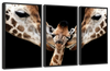 Happy Giraffe Family Wall Art