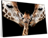 Happy Giraffe Family Wall Art