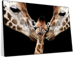 Happy Giraffe Family Wall Art