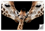 Happy Giraffe Family Wall Art