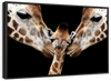 Happy Giraffe Family Wall Art