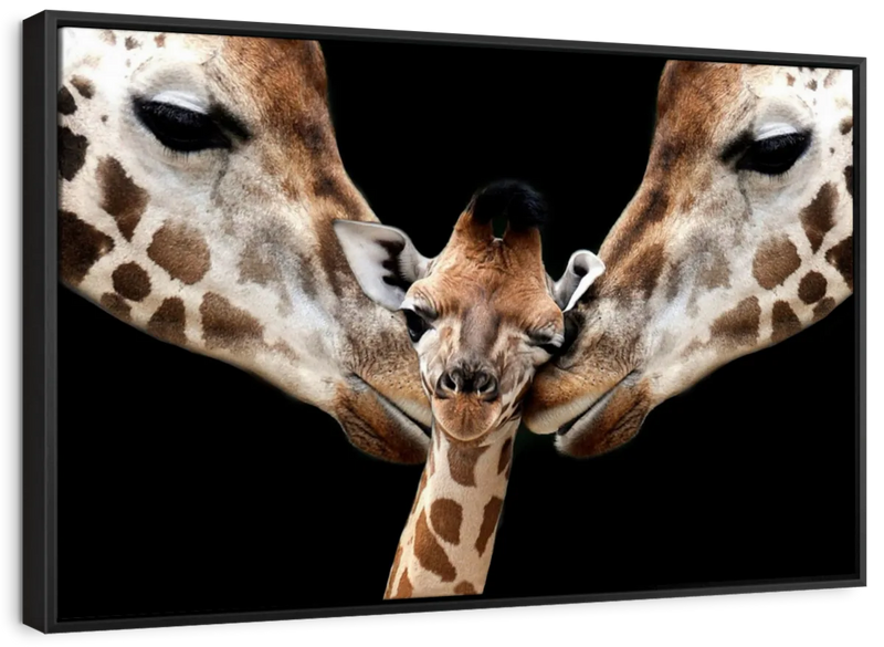Happy Giraffe Family Wall Art