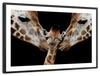 Happy Giraffe Family Wall Art