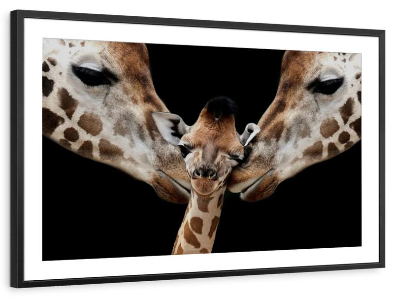 Happy Giraffe Family Wall Art