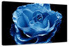 Misty Blue Rose Wall Art