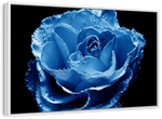 Misty Blue Rose Wall Art