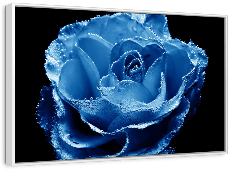 Misty Blue Rose Wall Art