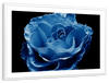 Misty Blue Rose Wall Art