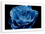 Misty Blue Rose Wall Art