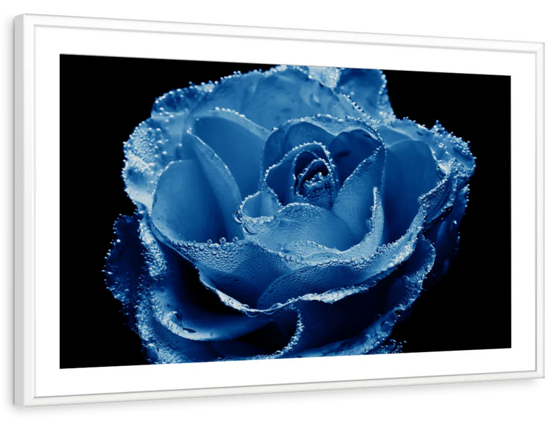 Misty Blue Rose Wall Art