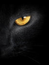 Yellow Eyed Cat Wall Art