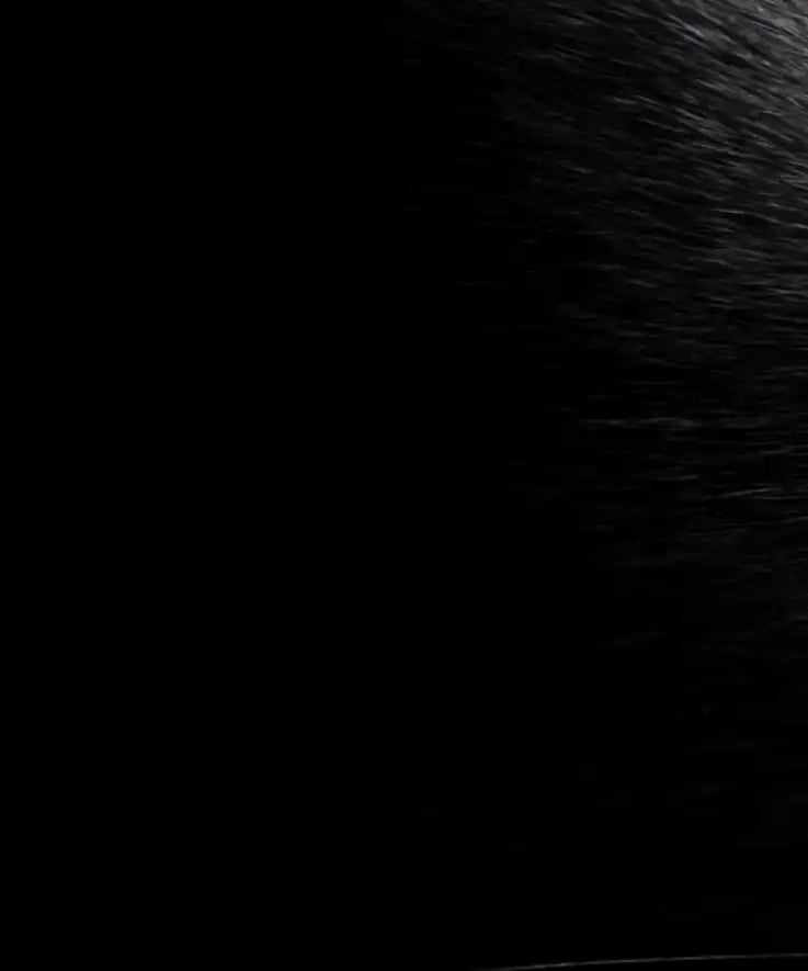 Yellow Eyed Cat Wall Art