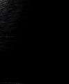 Yellow Eyed Cat Wall Art
